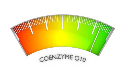 辅酶Q10测定过程