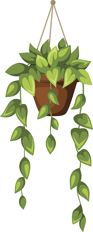 花盆中的绿色室内植物。矢量插图。