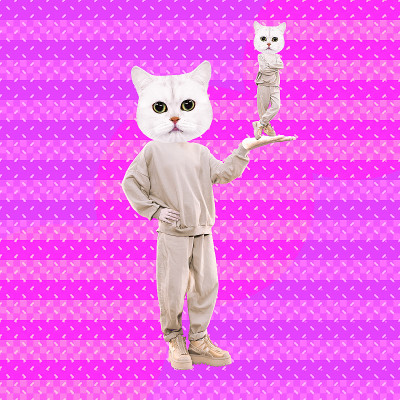 时尚的猫的性格。概念上的最小的拼贴画。自我，个人成长，心理学。