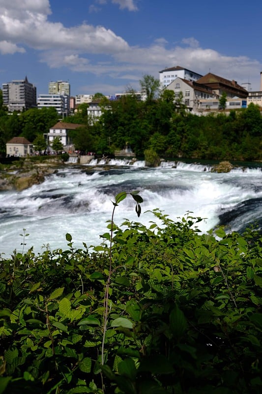 瀑布的Rheinfall