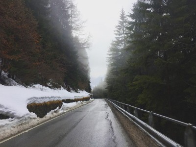 雾中的路