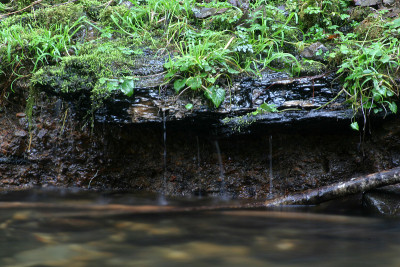 鱼鹰溪河岸