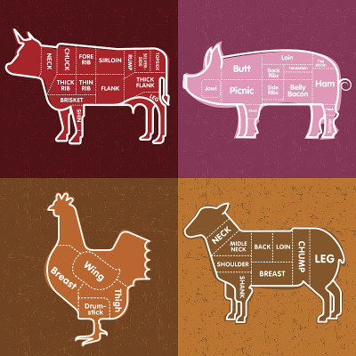 牛肉、猪肉、羊肉、鸡肉