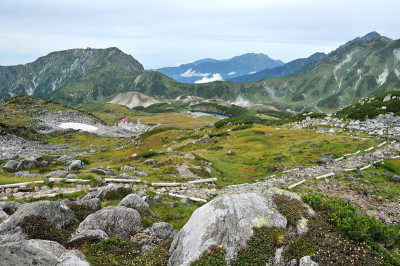 日本秋山黑袍高山溃败
