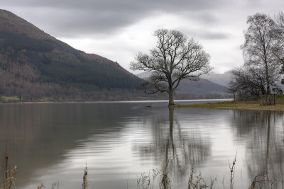 Bassenthwaite Dawn