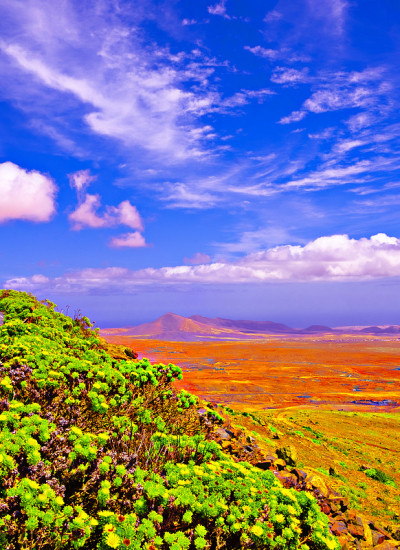 火山和沙漠，蓝天。农村全景景观。时尚自然壁纸。旅行的概念。加那利群岛。Fuerteventura