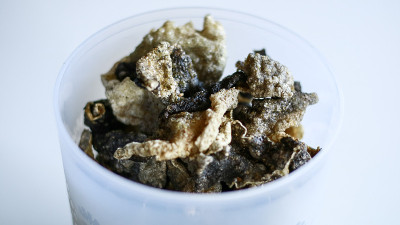 鱼皮饼干