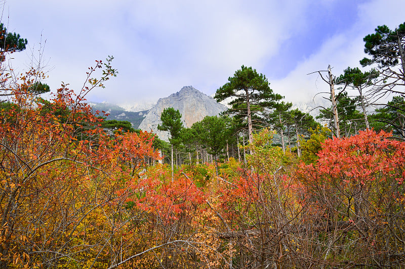 一个非常美丽的秋天风景:森林，山脉，云彩。为卡片、日历、设计。秋天的森林。