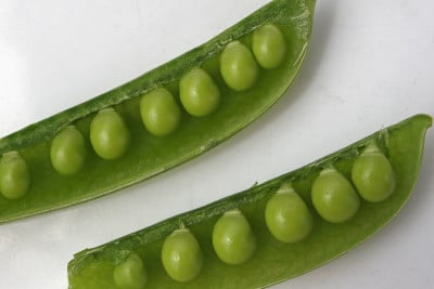 占pods