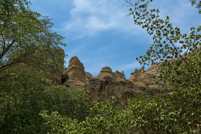 卡皮维拉Serra da Capivara的多叶Catinga