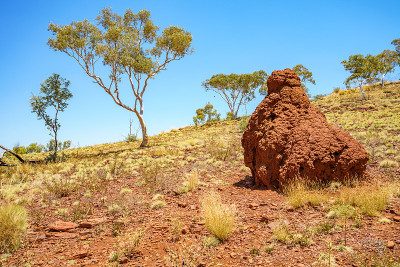 在karijini国家公园的weano峡谷边缘徒步旅行，澳大利亚西部