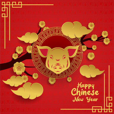 中国新年2019年猪年。矢量图