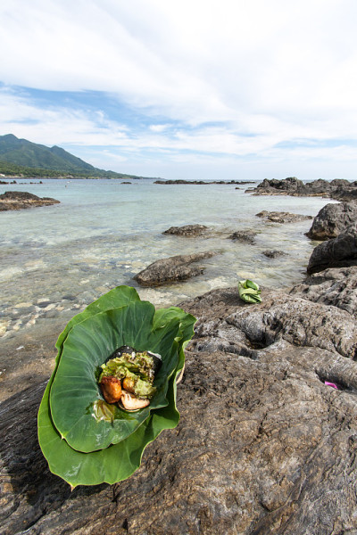 屋久島