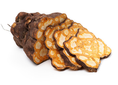 The Chinese medicine Polygonum multiflorum