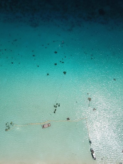Ant atoll in Pohnpei, Micronesia