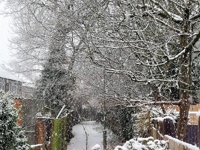 在伦敦的降雪。