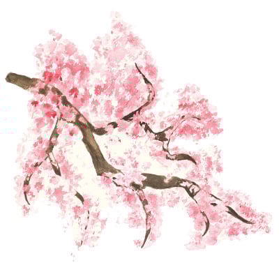 水彩枝花樱花