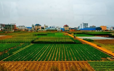 农村的场景