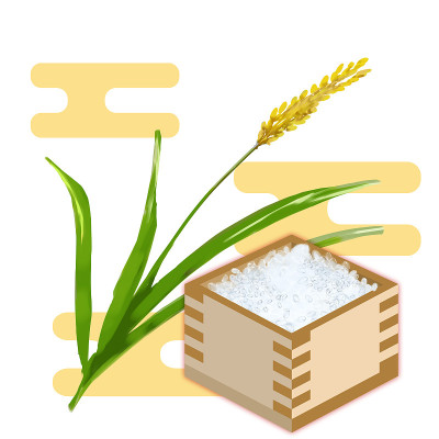 大米和大米在一个盒子里