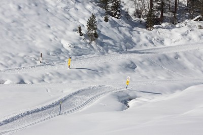 越野滑雪道，白色冬季风景，蒂罗尔，奥地利