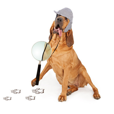 像侦探犬一样伸出舌头