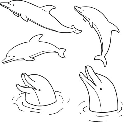 海豚向量集