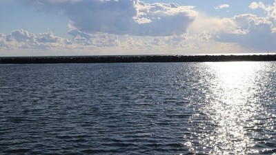 多伦多公园的安大略湖风景
