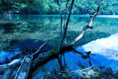 湖的风景
