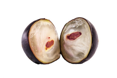 一种巴西水果，叫jabuticaba或jaboticaba。孤立在白色背景上。有机水果，不含防腐剂。