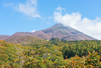秋叶，日本福岛