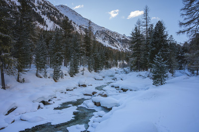 瑞士恩加丁格里森州彭特雷西纳的罗斯格河谷，雪景与落叶松森林