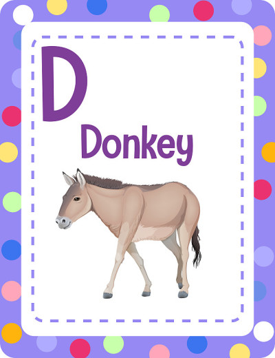 字母D代表驴子