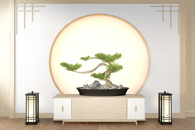 盆景树在柜面木墙上房间禅意风格和装饰木设计，大地色调。三维渲染