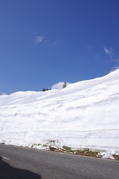 雪墙