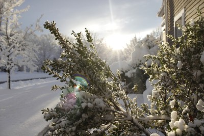暴风雪之后