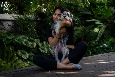 亚洲女人抱着迷你雪纳瑞犬