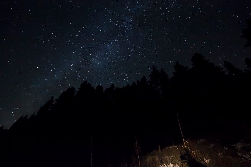 英仙座流星雨和恒星