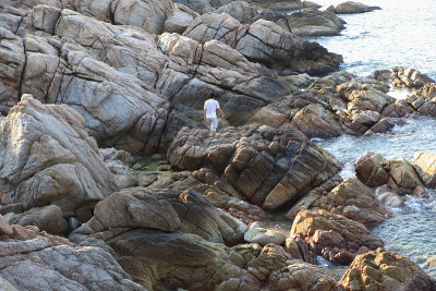 海