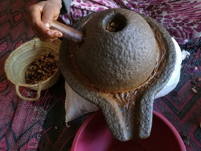 摩洛哥坚果油种子处理