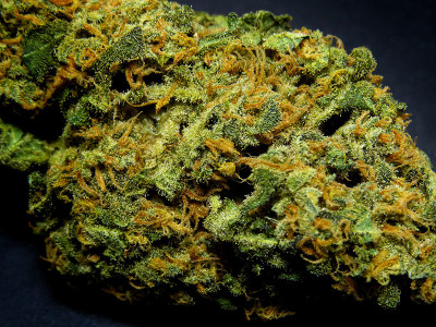 奥格头切斯