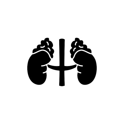人体器官肾上腺颜色线图标。网页，移动应用的象形图