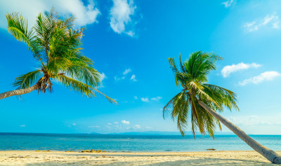 天堂阳光明媚的海滩，棕榈树和绿松石般的大海。夏季度假和热带海滩的概念。