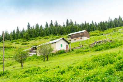 雾高原高地与吉雷孙-土耳其
