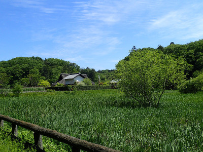 Noyamakita-Rokudoyama公园- Musashimurayama,东京