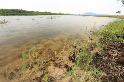 草地和河流