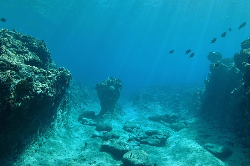 由汹涌的太平洋雕刻的海底礁