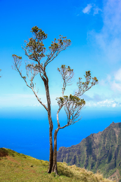 卡拉劳观景台，纳帕利海岸州立荒野公园