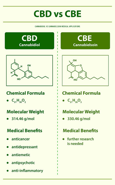 CBD vs CBE, Cannabidiol vs Cannabielsoin垂直信息图