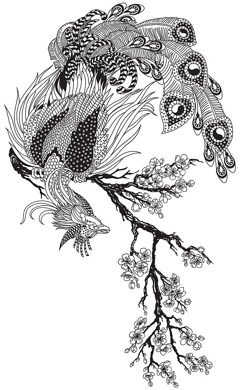 一只神奇的凤凰坐在樱花枝上。黑白矢量