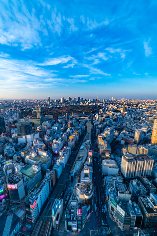 从东京涩谷区看东京的城市景观。